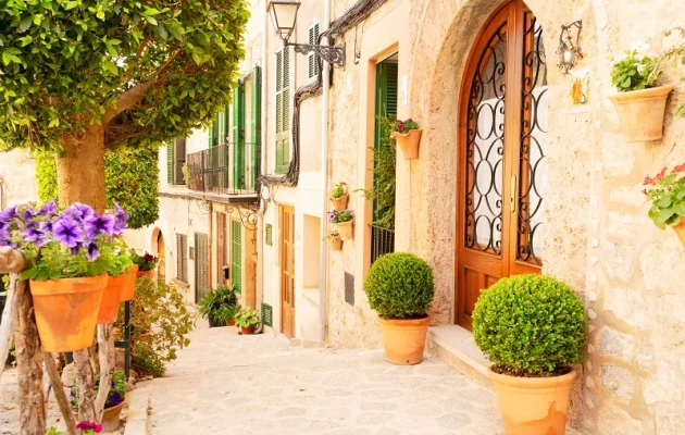 _vyr_13_Valdemossa_mallorca