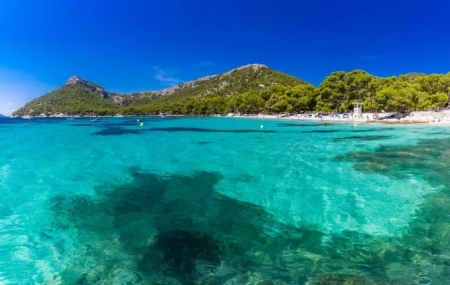 _vyr_1_playa-formentor_web